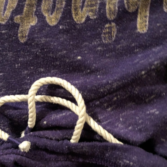 Stadium Athletics Purple Washington Hoodie - Picture 4 of 5